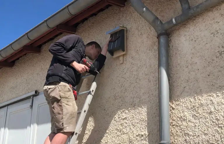 Anbringung des Fledermauskastens in Artern
