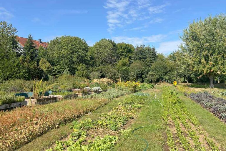 Garten-Wernigerode
