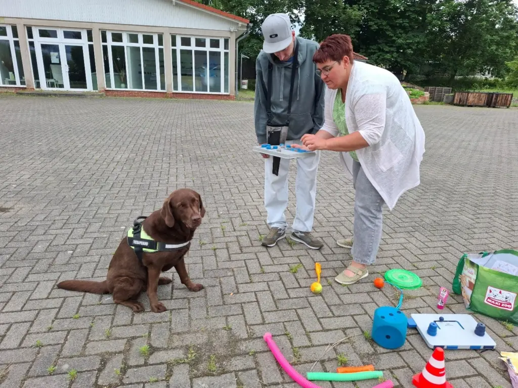 Therapiebegleithund001